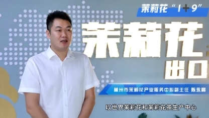 横州市茉莉花产业服务中心副主任 陈永晶.png